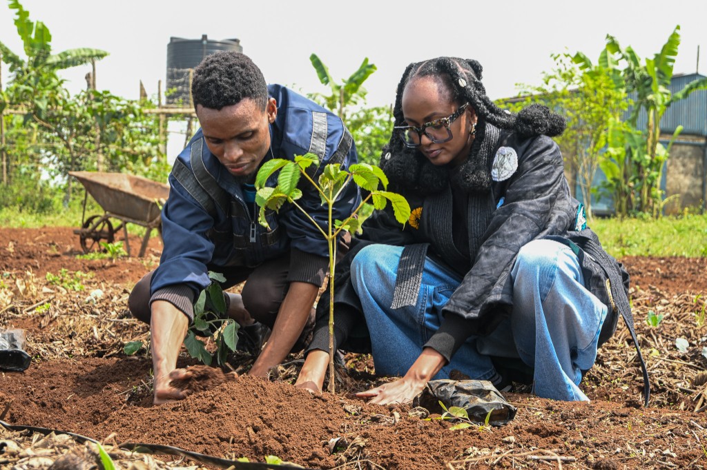 Two people packing soil around a newly planted sapling at Forest Foods