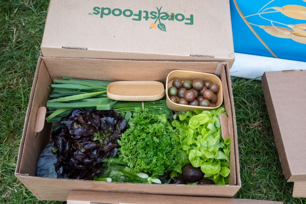 Open Forest Foods box filled with fresh regenerative produce on the grass