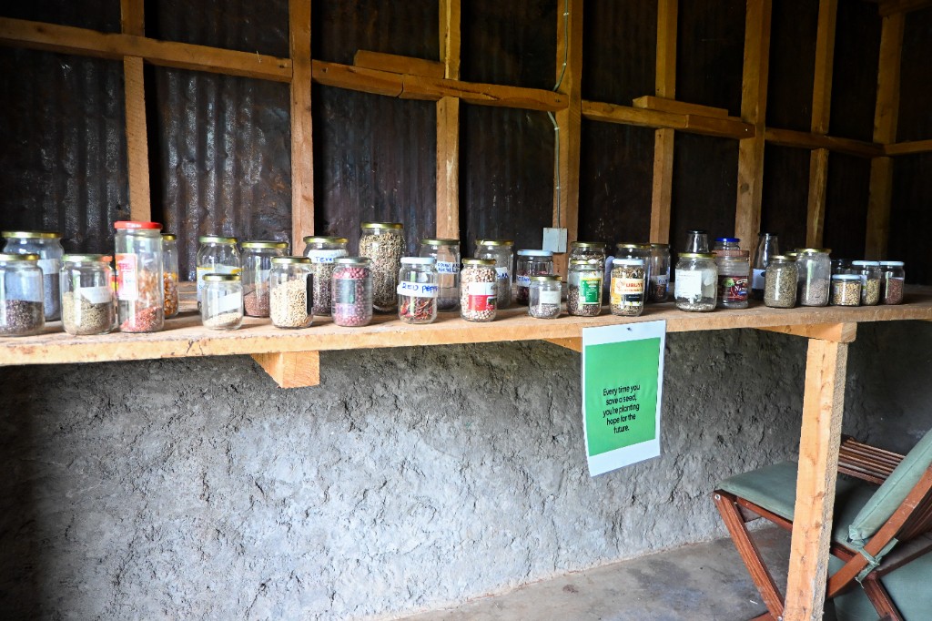 Glass jars of saved seeds on a wooden shelf with a sign about planting hope for the future