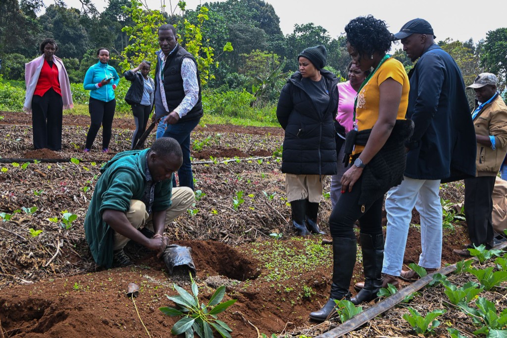 Farmers planting saplings during a demonstration